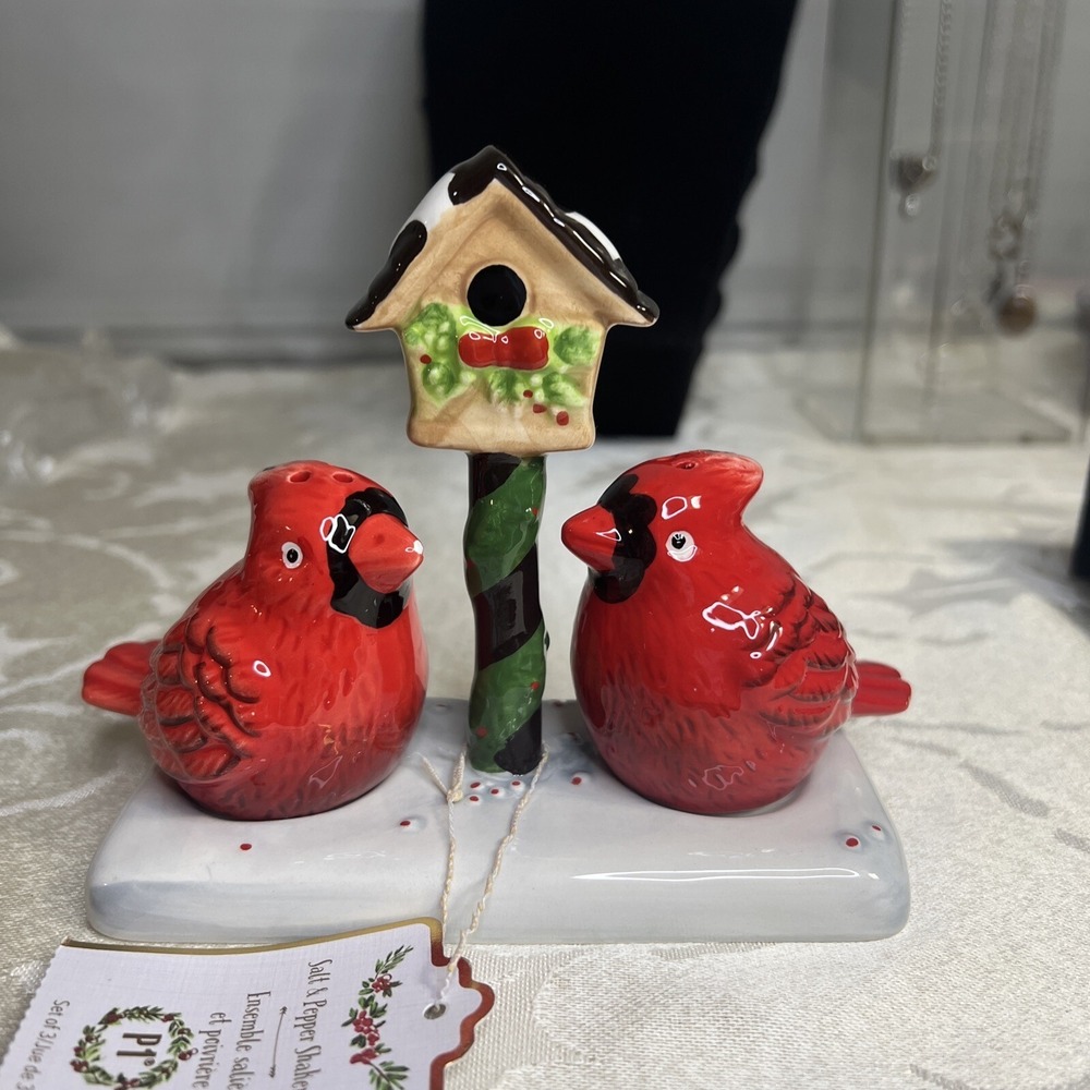Pier 1 Ceramic Cardinal Salt & Pepper Shaker Set Christmas Winter Birdhouse